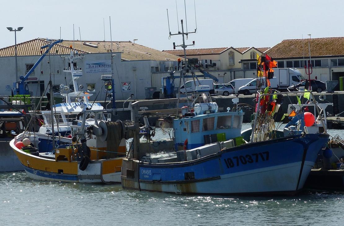 Types of Boat Deck Sealants and Their Uses