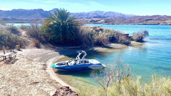 arizona lakes header