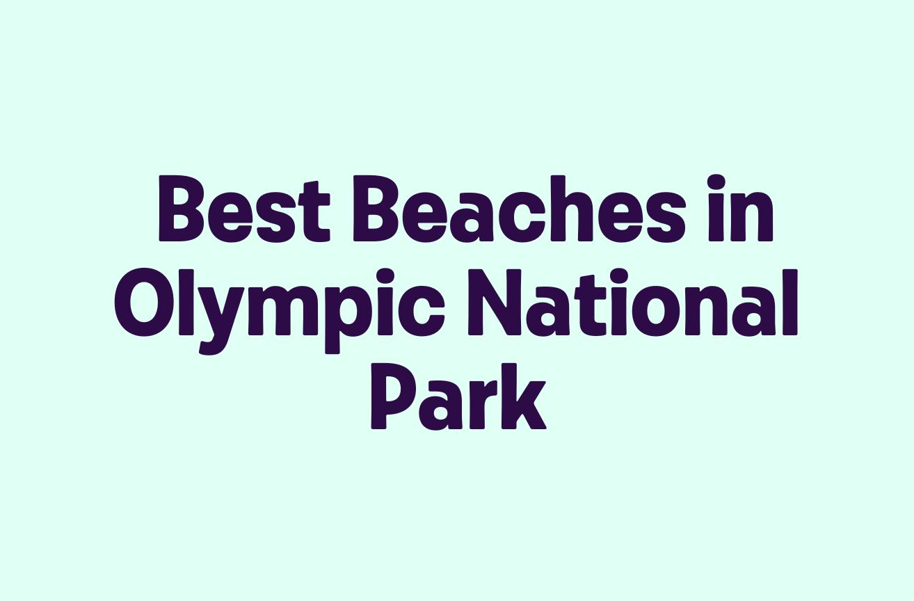 Best Beaches in Olympic National Park