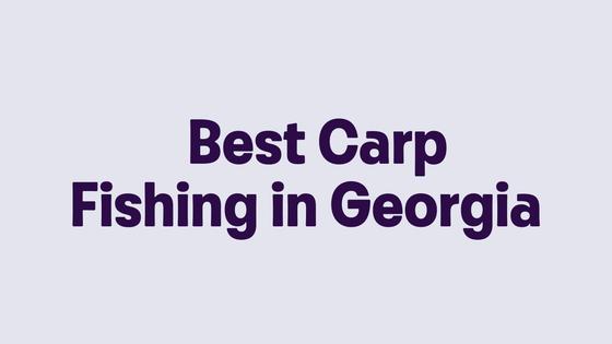 Best Carp Fishing in Georgia