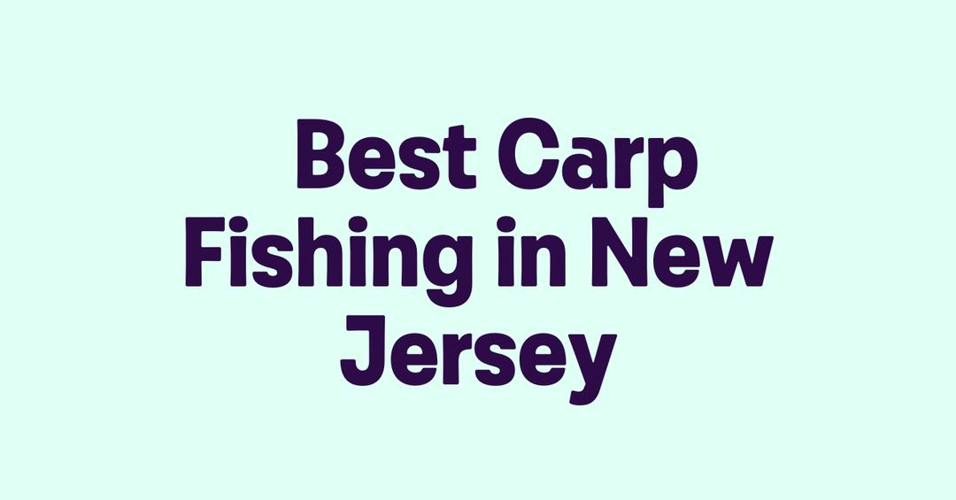 Best Carp Fishing in New Jersey