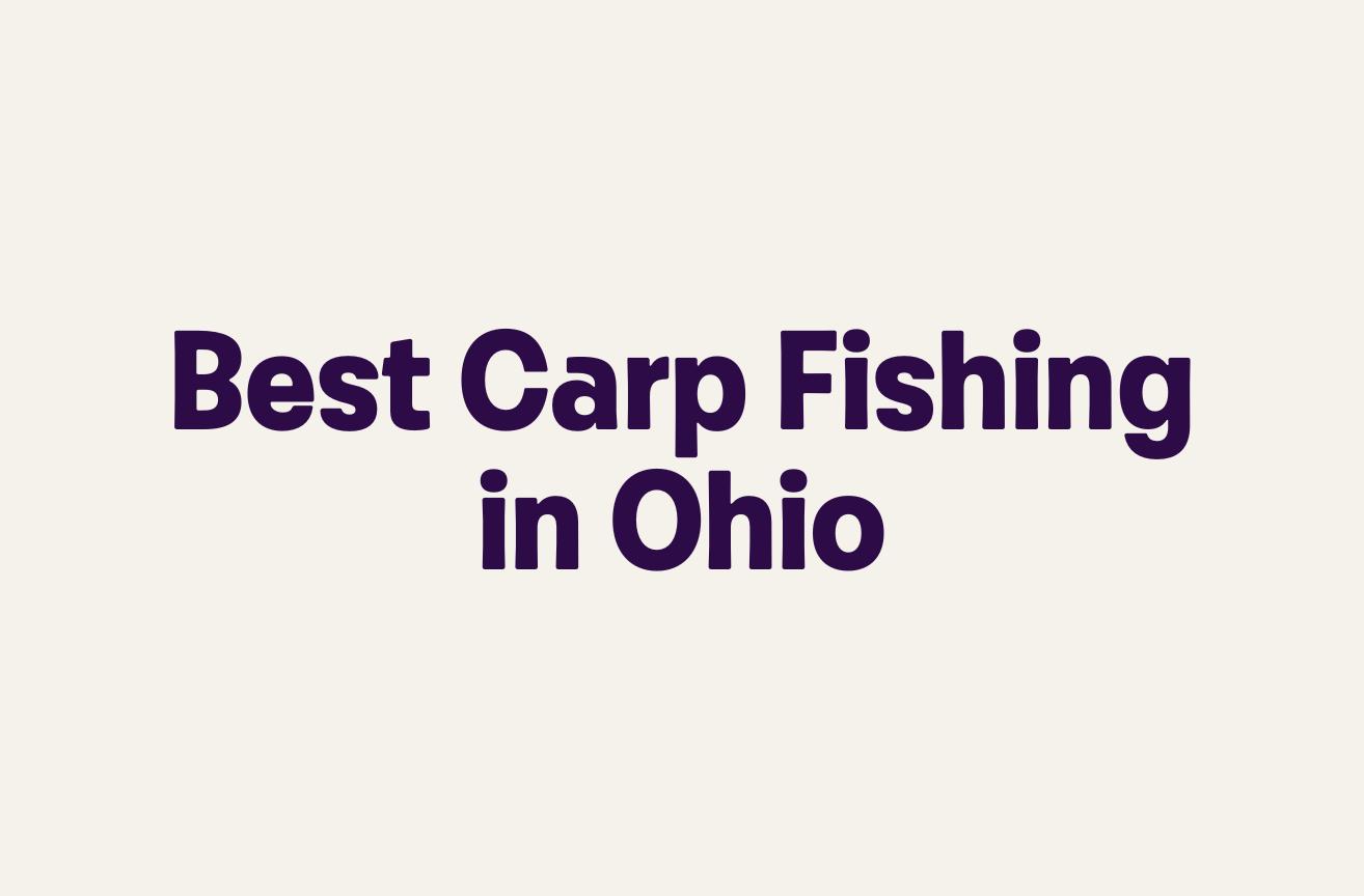 Best Carp Fishing in Ohio