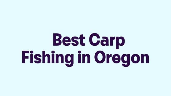 Best Carp Fishing in Oregon
