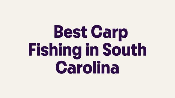 Best Carp Fishing in South Carolina