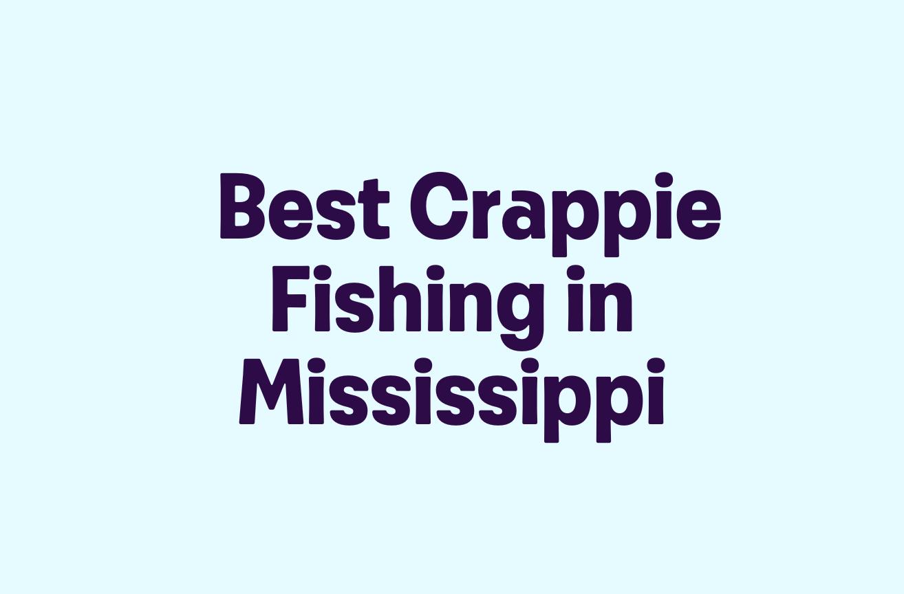 Best Crappie Fishing in Mississippi