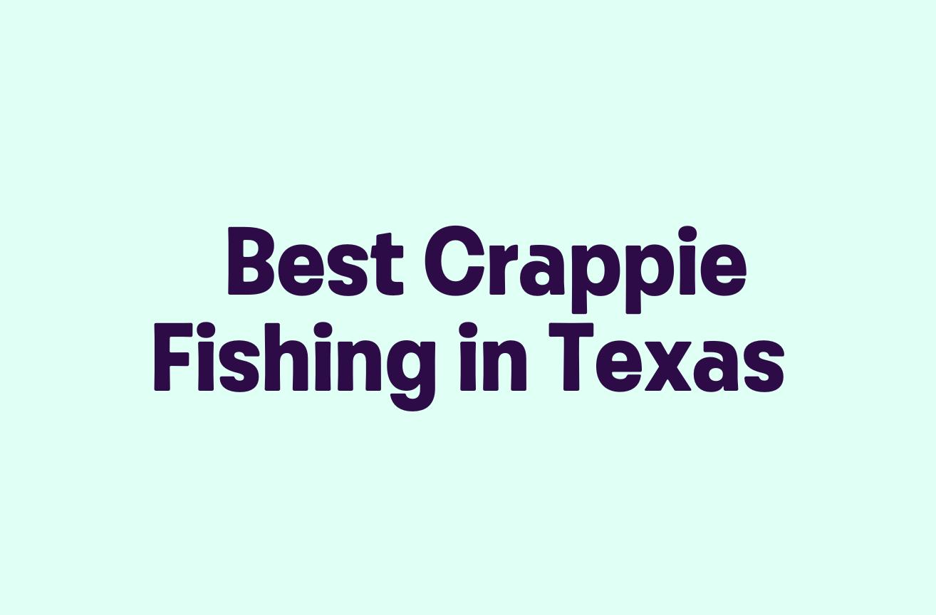 Best Crappie Fishing in Texas