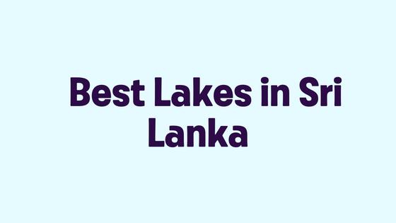 Best Lakes in Sri Lanka