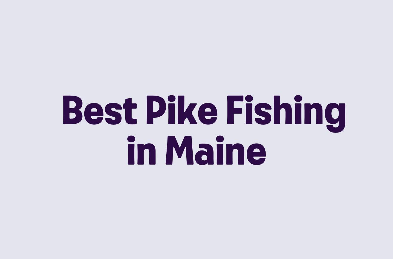 Best Pike Fishing in Maine