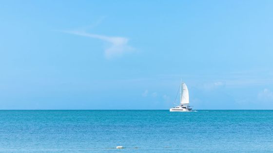 A peaceful sailboat gliding on the turquoise waters of Cabo Rojo under a clear blue sky.