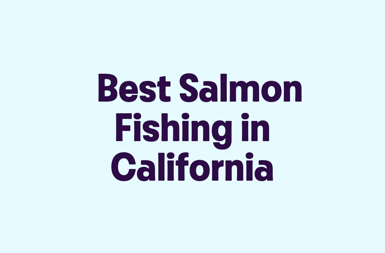 Best Salmon Fishing in California