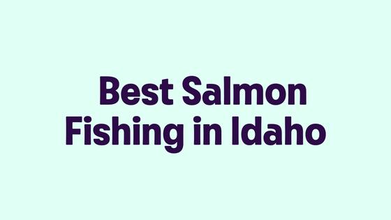 Best Salmon Fishing in Idaho