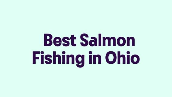 Best Salmon Fishing in Ohio