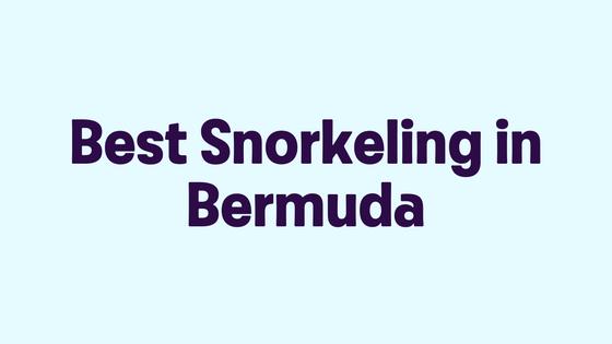 Best Snorkeling in Bermuda