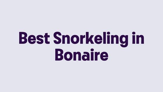 Best Snorkeling in Bonaire