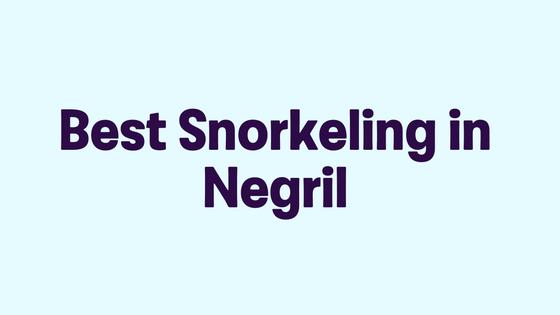 Best Snorkeling in Negril