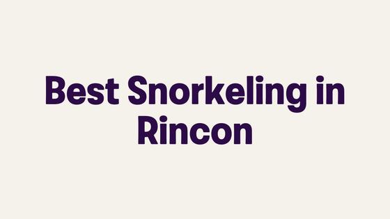 Best Snorkeling in Rincon