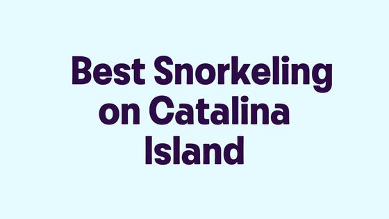 Best Snorkeling on Catalina Island