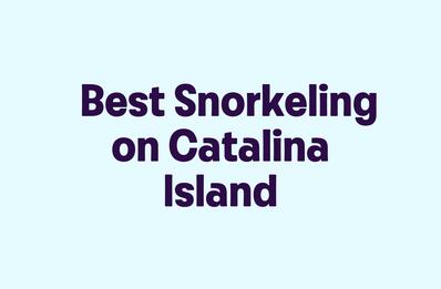 Best Snorkeling on Catalina Island