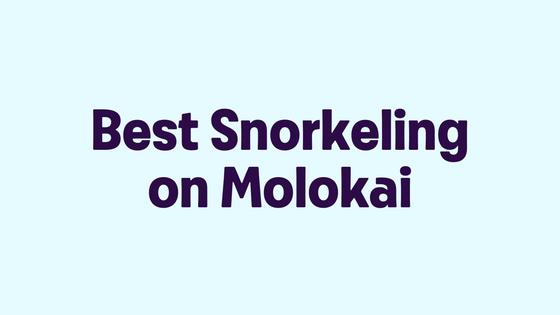 Best Snorkeling on Molokai