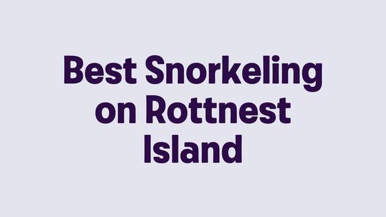 Best Snorkeling on Rottnest Island
