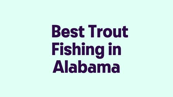 Best Trout Fishing in Alabama