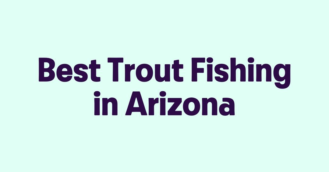 Best Trout Fishing in Arizona