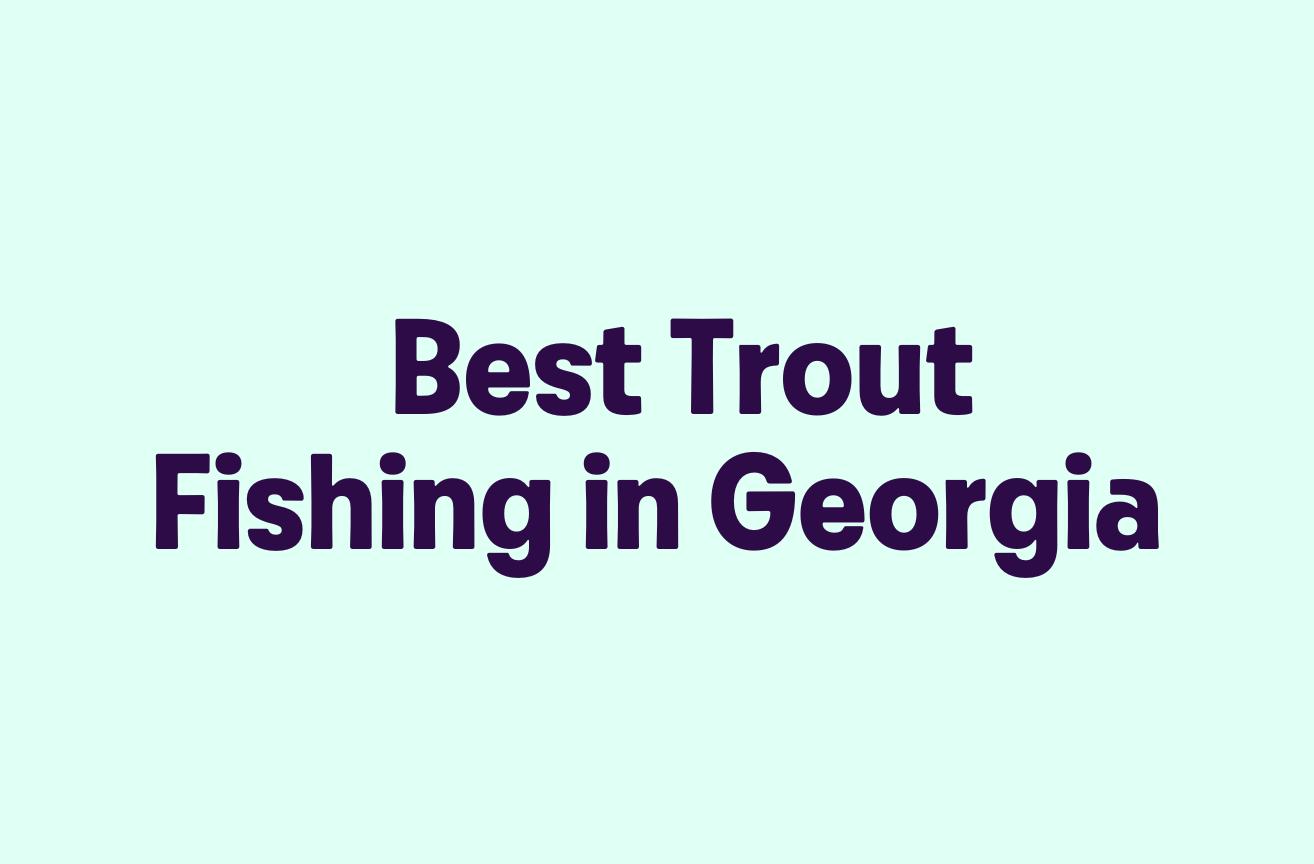 Best Trout Fishing in
