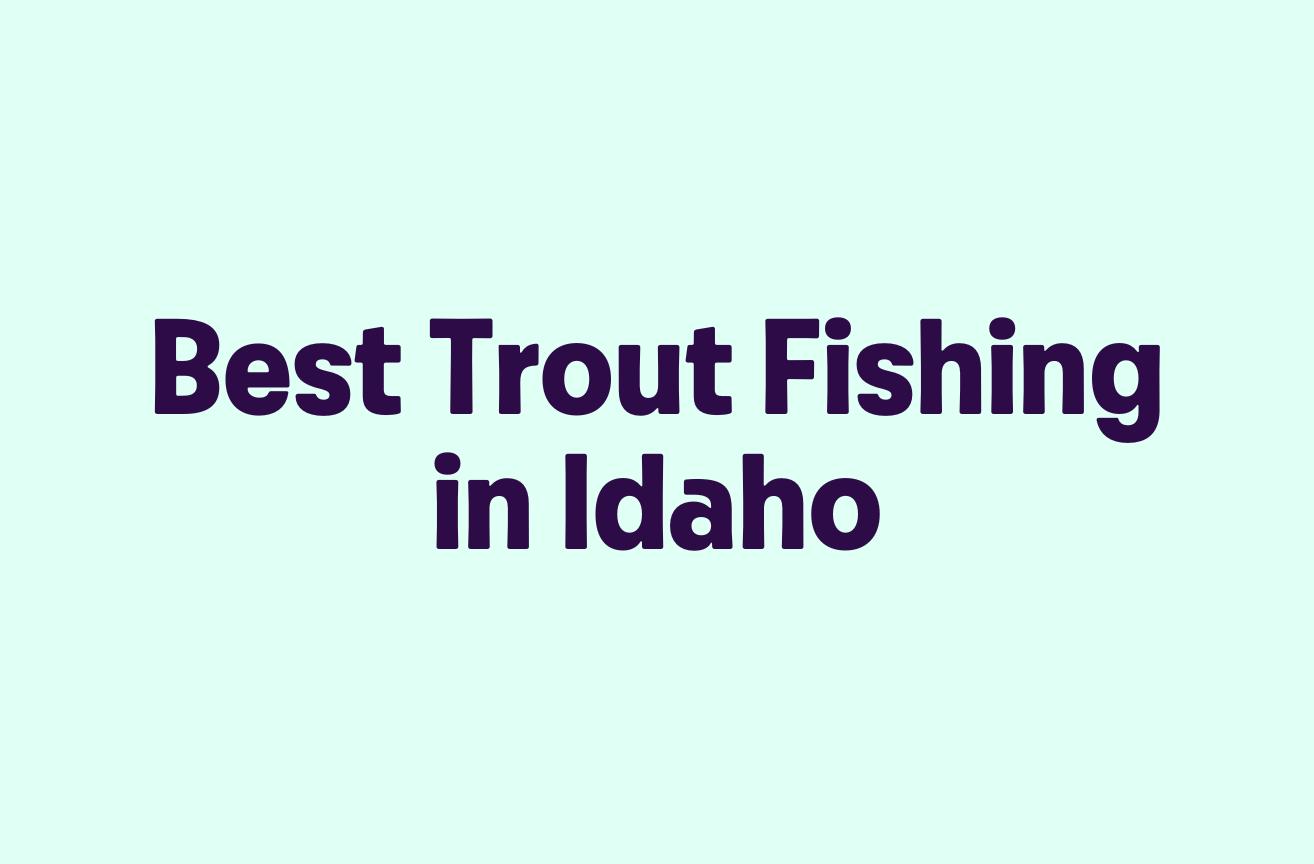Best Trout Fishing in Idaho