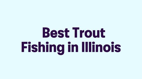 Best Trout Fishing in Illinois