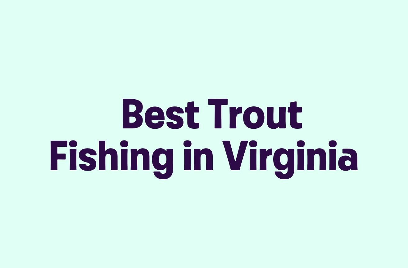 Best Trout Fishing in Virginia