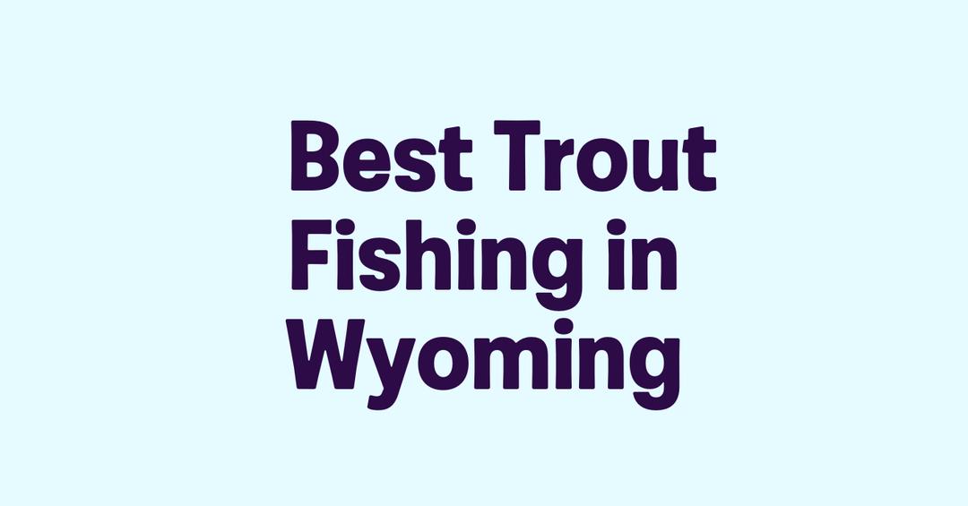 Best Trout Fishing in Wyoming