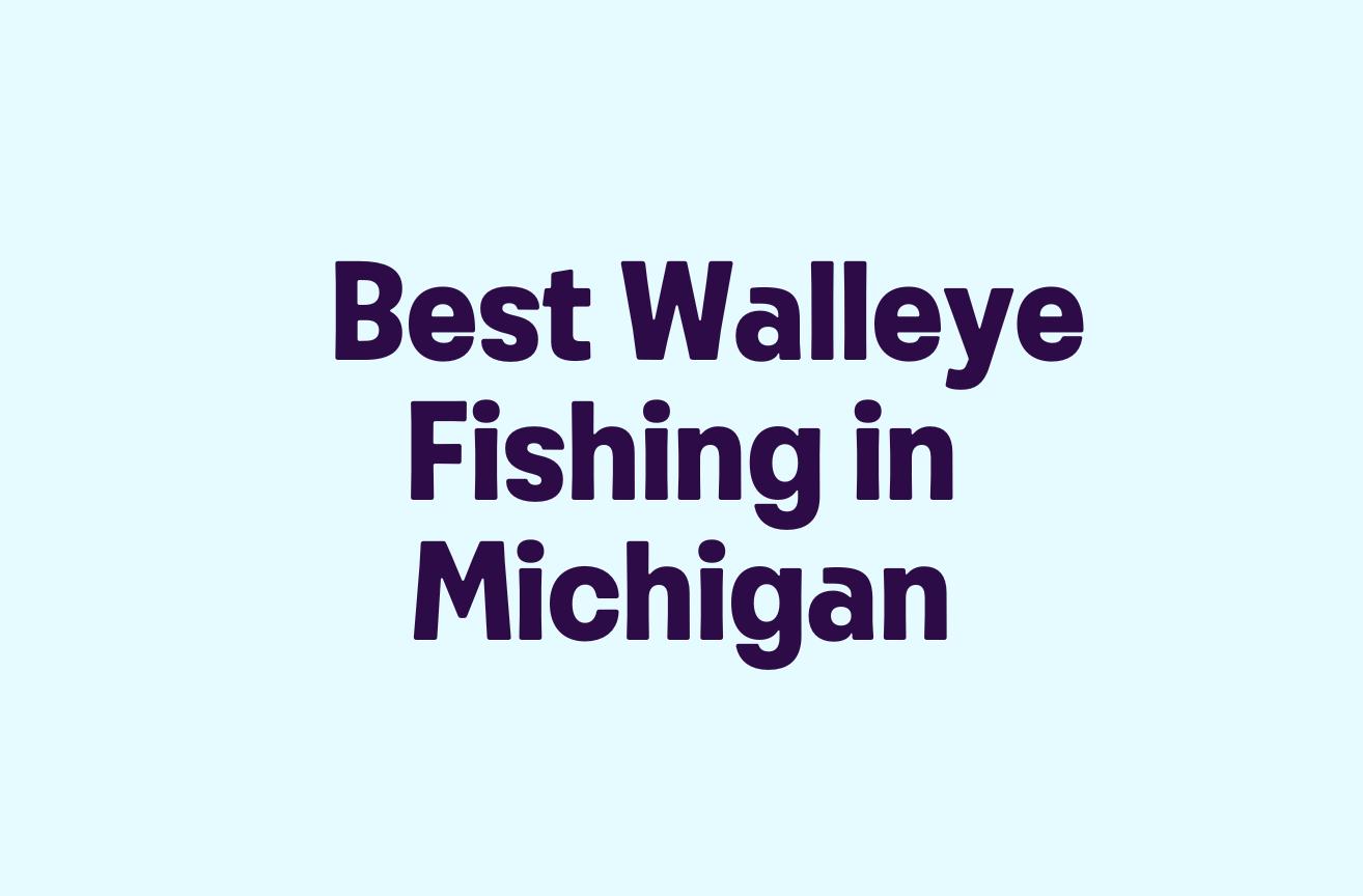 Best Walleye Fishing in Michigan