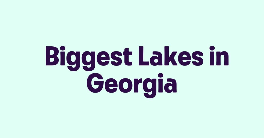 Biggest Lakes in