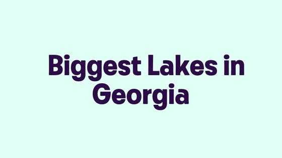 Biggest Lakes in Georgia