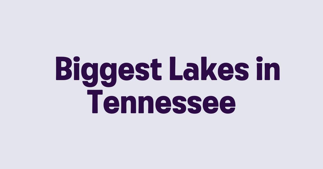 Biggest Lakes in Tennessee