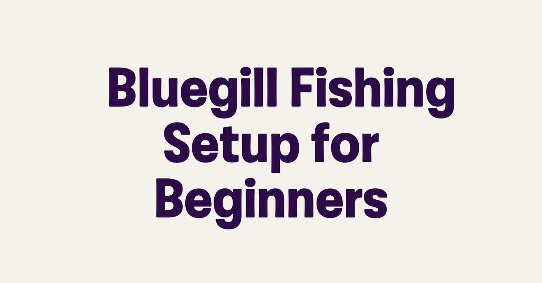 Bluegill Fishing Setup for Beginners