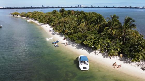 boat-rentals-miami-florida-sea-ray-sundeck-240-processed (1) (1) (1).jpg