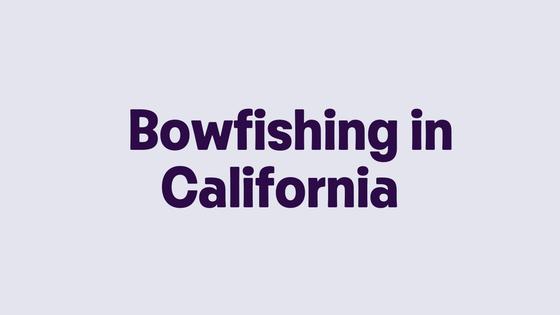 Bowfishing in California