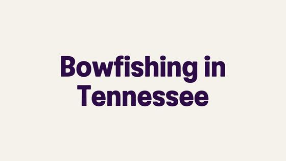 Bowfishing in Tennessee