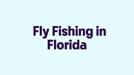 Fly Fishing in Florida