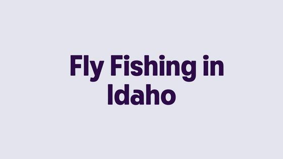 Fly Fishing in Idaho