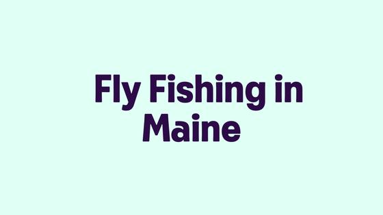 Fly Fishing in Maine