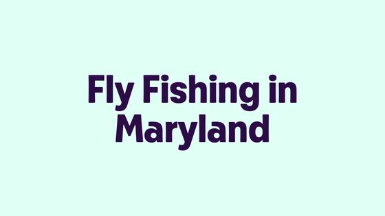 Fly Fishing in Maryland