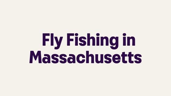 Fly Fishing in Massachusetts