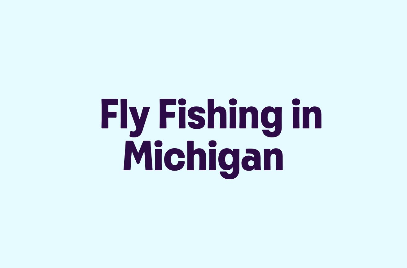Fly Fishing in Michigan