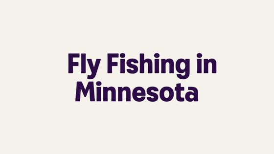Fly Fishing in Minnesota