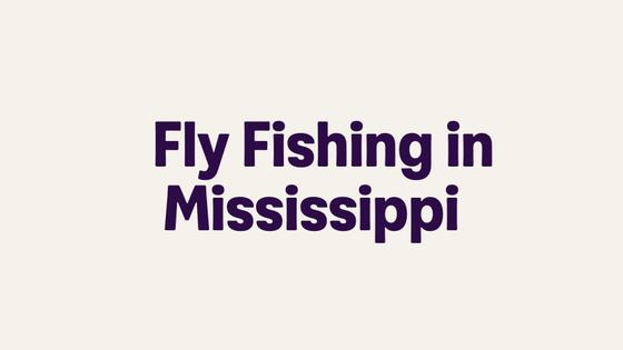 Fly Fishing in Mississippi