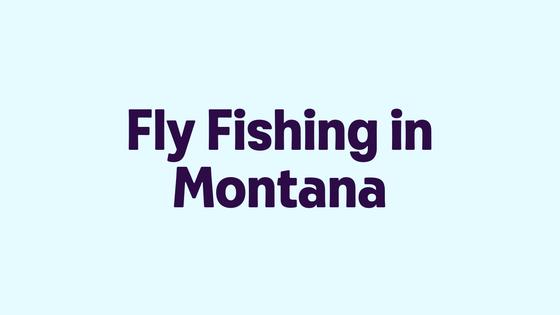 Fly Fishing in Montana