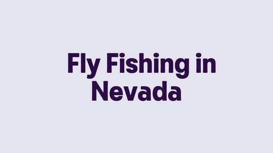 Fly Fishing in Nevada