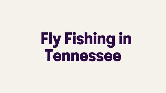 Fly Fishing in Tennessee